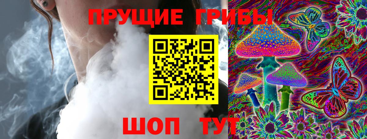 Галлюциногенные грибы Psilocybe Светлоград